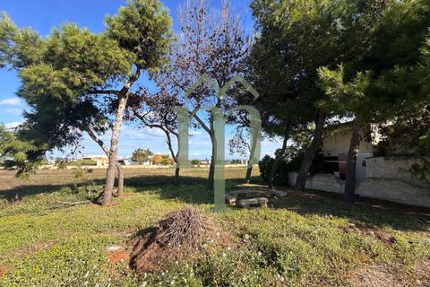 Landejendom i Carovigno, Brindisi, Carovigno - € 149.000 | Ref: Villa Guaceto - foto 11